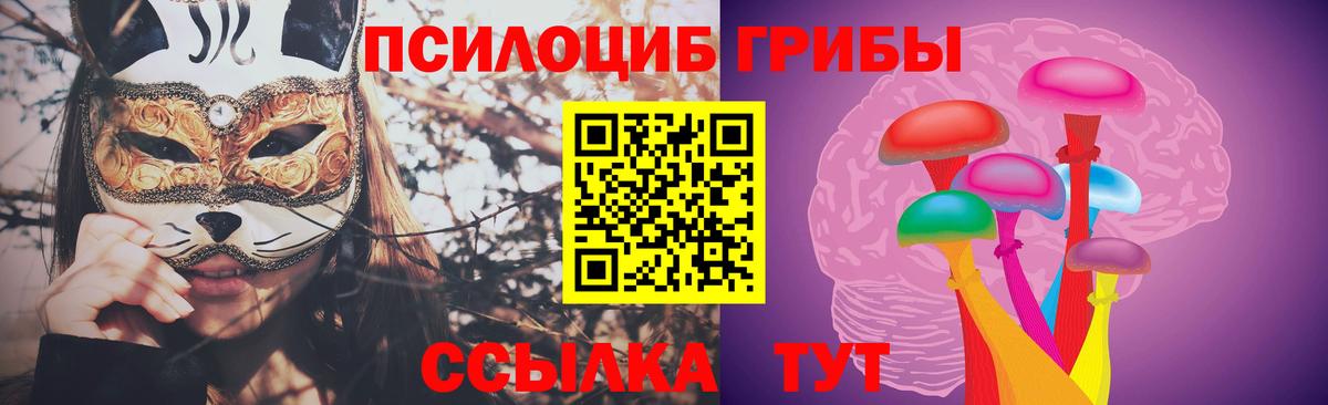 Спасск-Дальний  Псилоцибиновые грибы GOLDEN TEACHER  Вход с VPN  Псилоцибиновые грибы Cubensis 
